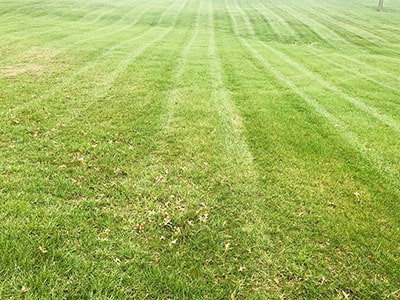 Vertically striped lawn.